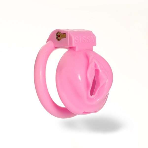 pussy chastity cage by Locked in Lust